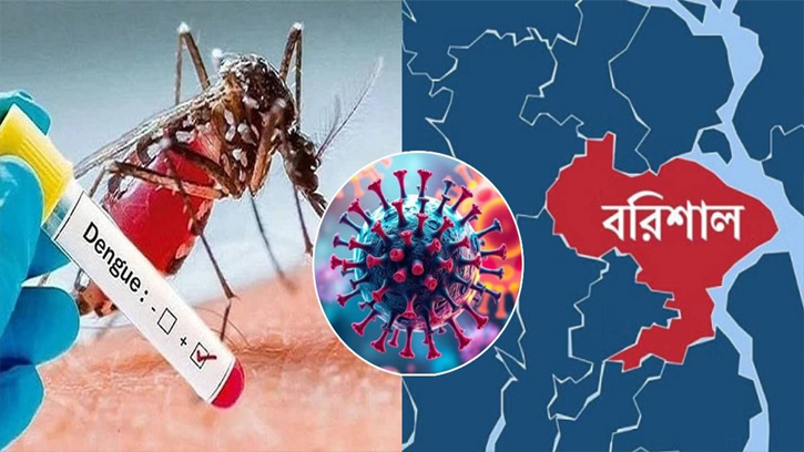 ডেঙ্গুতে জর্জরিত বরিশাল-চট্টগ্রাম, আক্রান্ত বাড়ছেই...