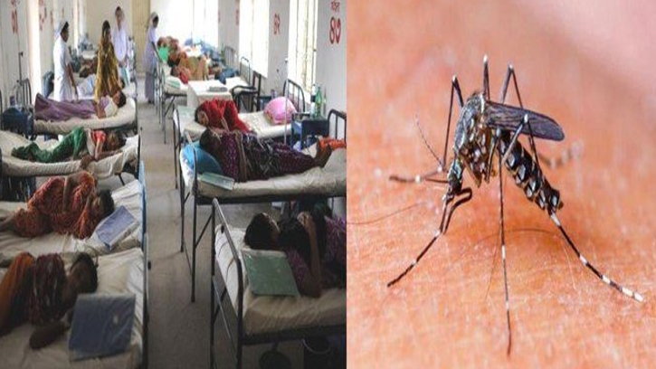 ডেঙ্গুতে একদিনে আরও ৩ জনের প্রাণহানি