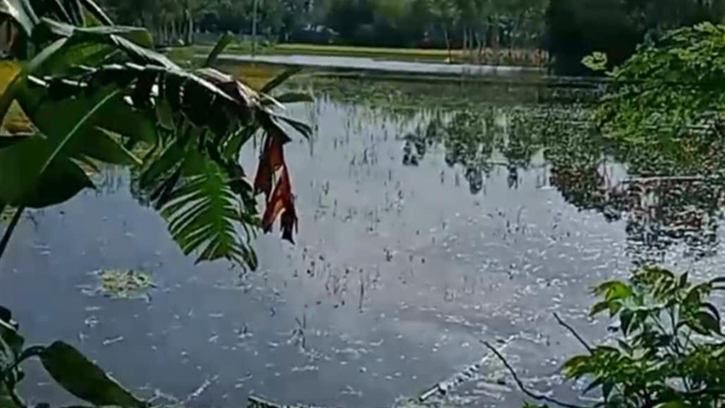 পঞ্চগড়ে ডোবার পানিতে পড়ে এক শিশুর মৃত্যু